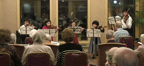 Violin Ensemble